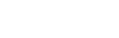 Neat 300